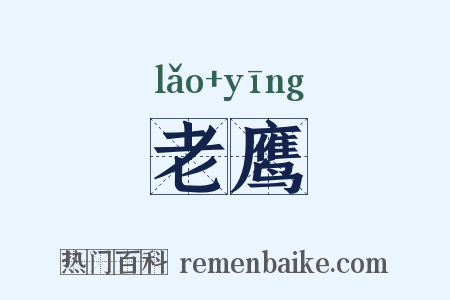 老鹰是什么意思的图片